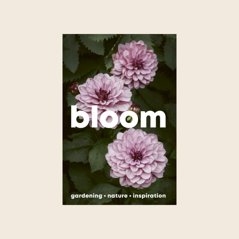 Bloom Magazine | Issue 16 | Spring/Summer 2024