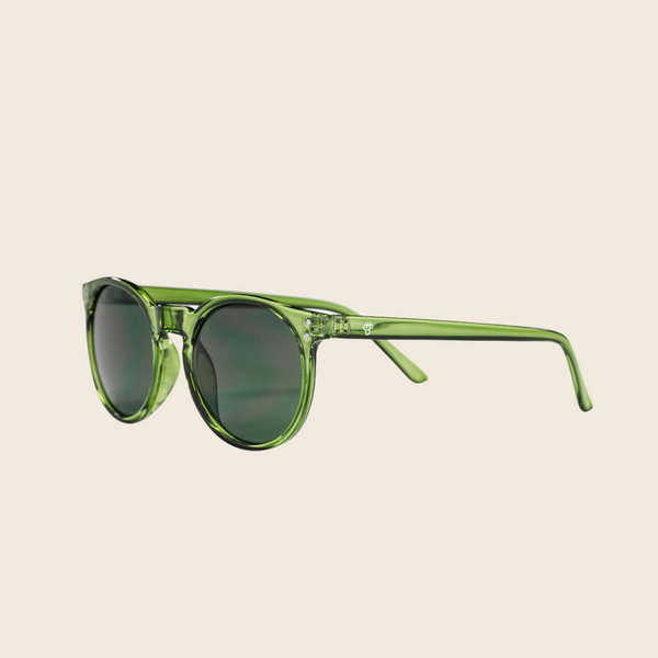 Anchor Point Recycled Plastic Sunglasses | Green