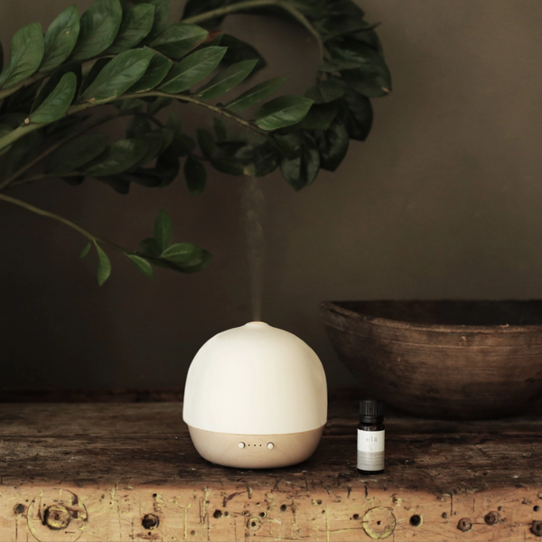 Begin Aromatherapy Essential Oil Blend | Geranium, Dill Seed, Bay and Bergamot