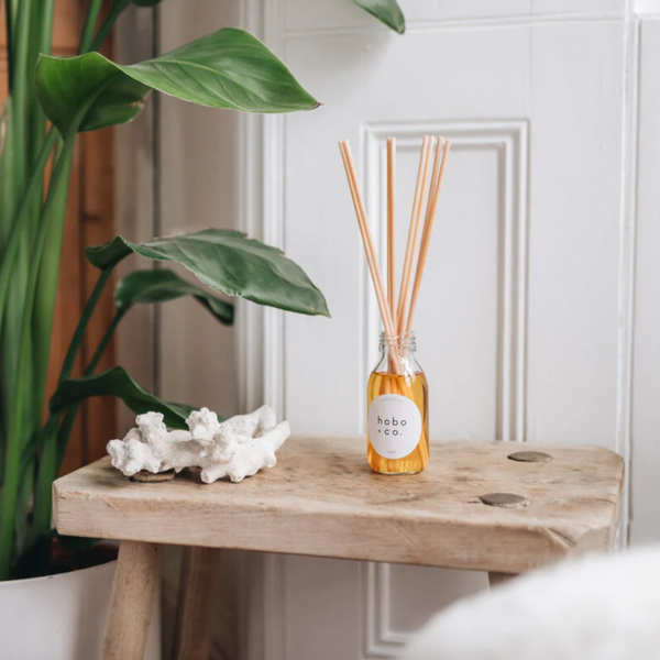 Hobo and Co Reed Diffuser at home, alongside plants