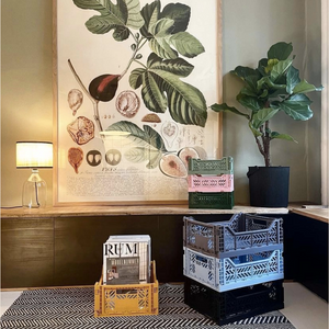 Aykasa Storage Crates