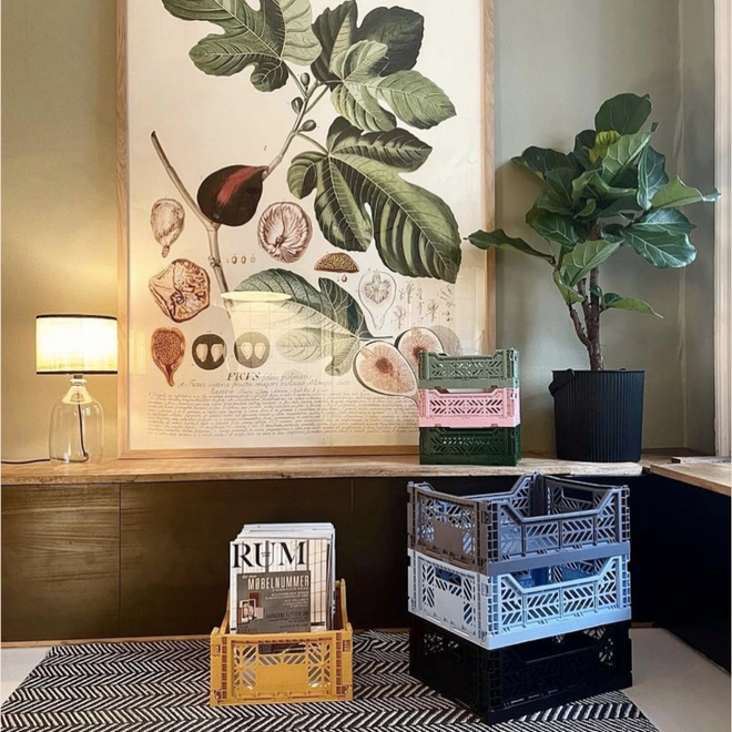 Aykasa Storage Crates