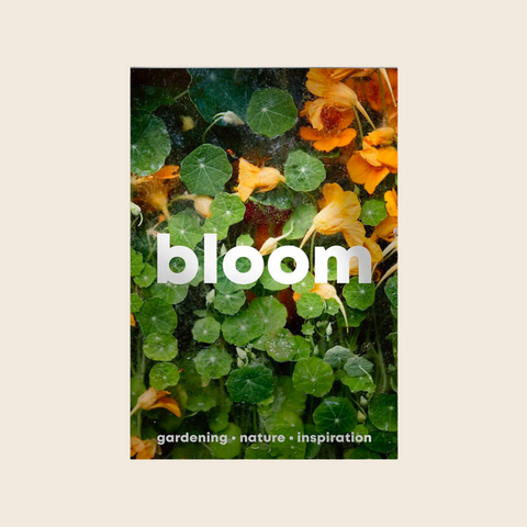 Bloom Magazine | Issue 15 | Autumn/Winter 2023