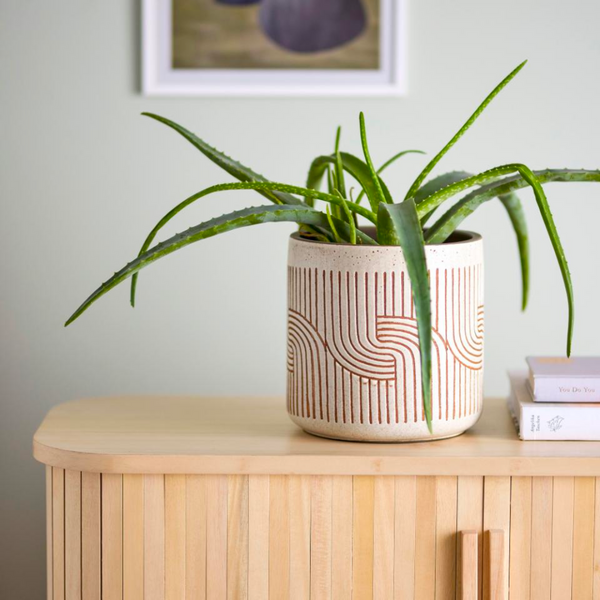 Cenzia Deco Plant Pot | White and Terracotta