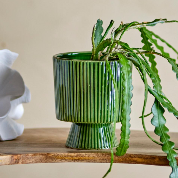 Ayleen Plinth Plant Pot | Green