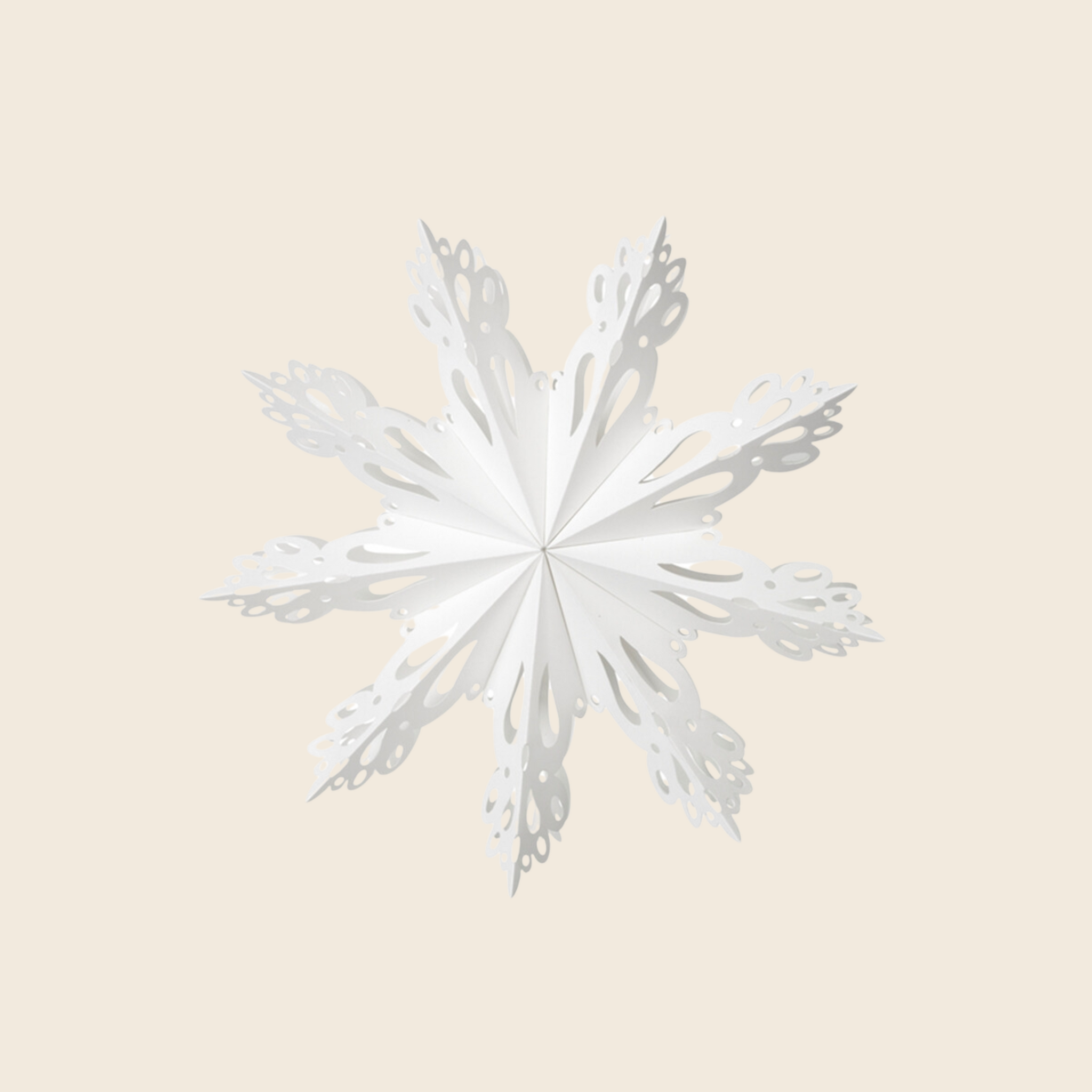 Paper Snowflake Decoration | White
