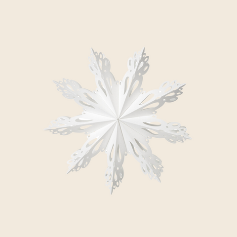 Paper Snowflake Decoration | White
