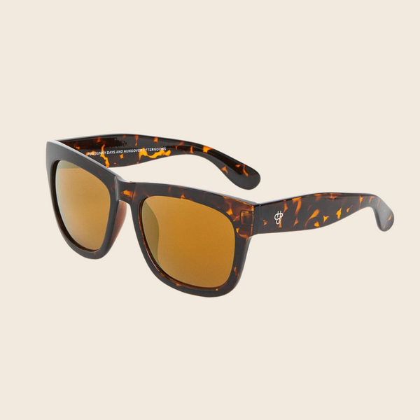 Haze Recycled Plastic Sunglasses | Turtle Brown