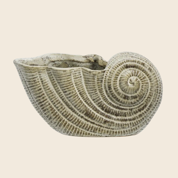 Stoneware Conch Shell Vase