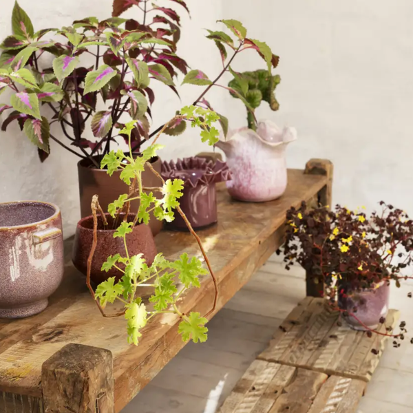 Stoneware Plant Pot | Raspberry