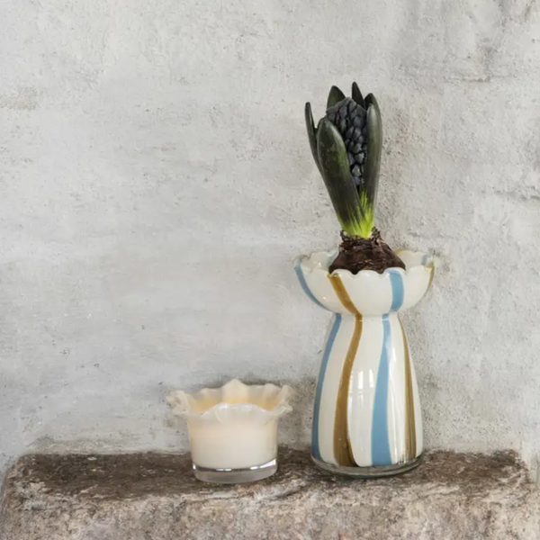 A striped ceramic vase with blue, gold, and white vertical stripes holds a green hyacinth bulb, styled on a rustic stone ledge next to a small cream-colored candle against a textured gray wall.