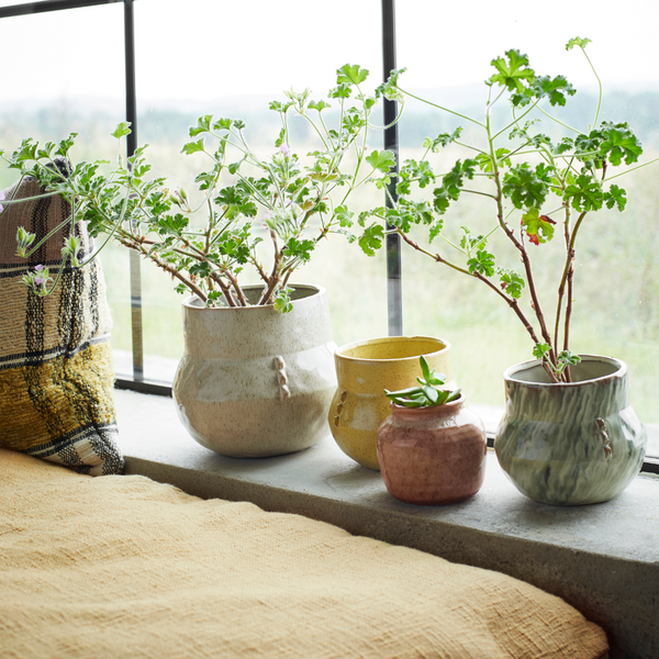 Striped Stoneware Plant Pot | Green and White