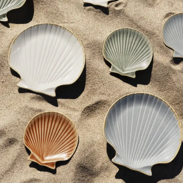 Several scallop-shaped ceramic plates  arranged on sandy ground in natural sunlight. The plates come in white, pale green, and terracotta tones.