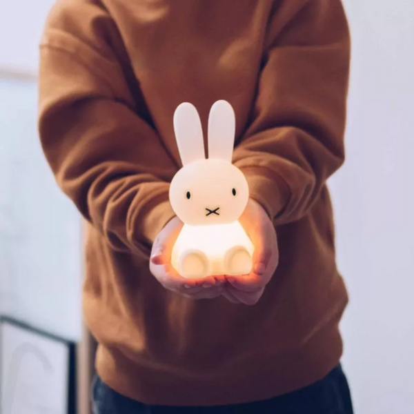 Bundle Of Light | Miffy