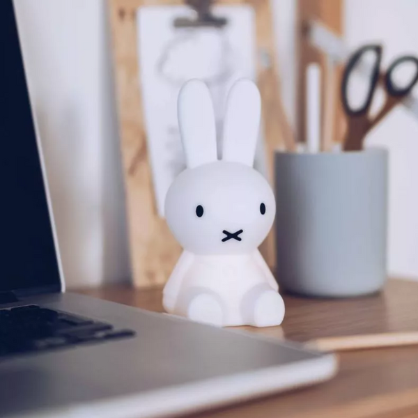 Bundle Of Light | Miffy