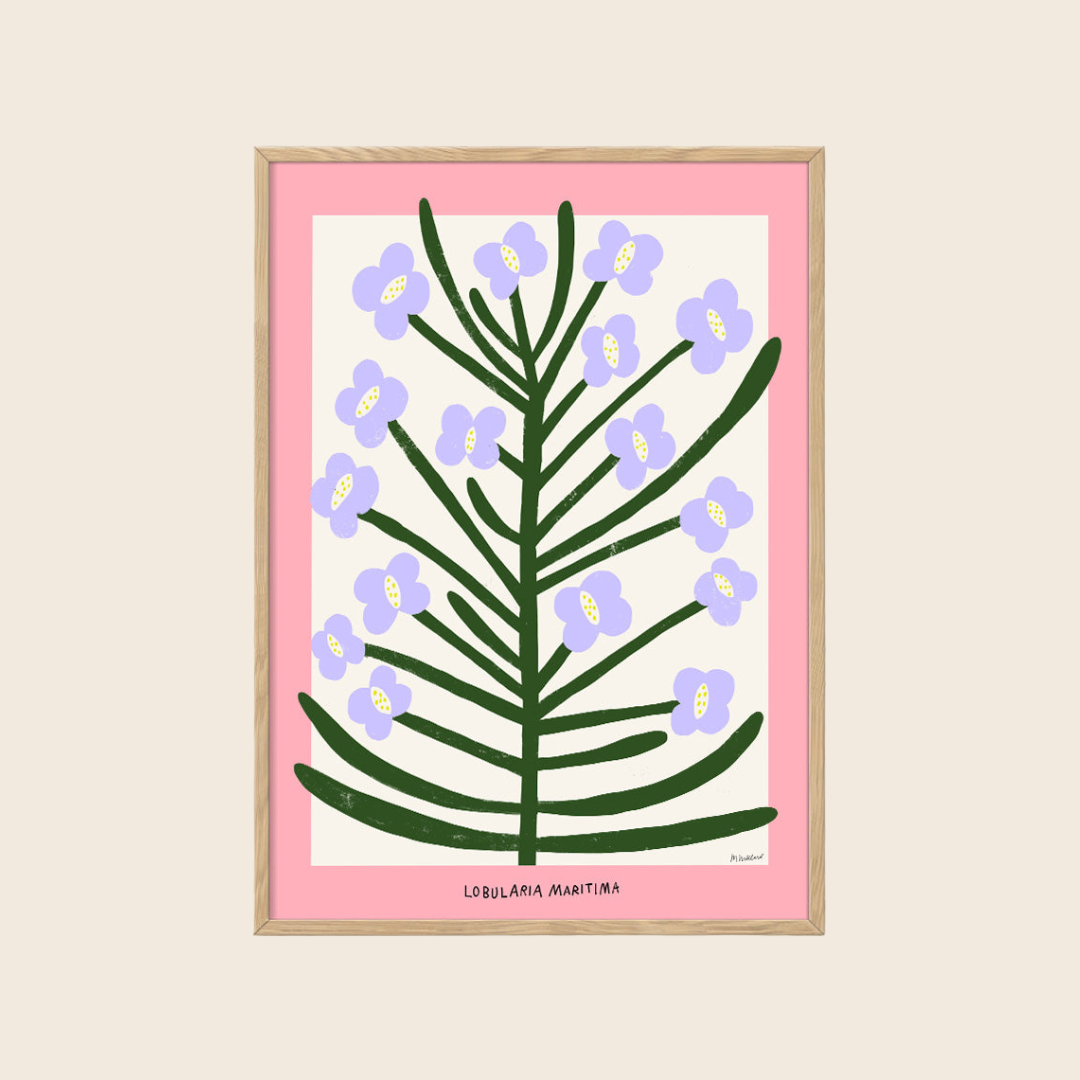 Sweet Alyssum Print | 30 x 40cm