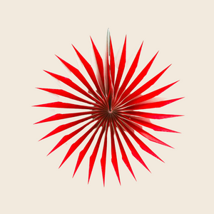The Conscious Candy Cane Pointed Paper Fan