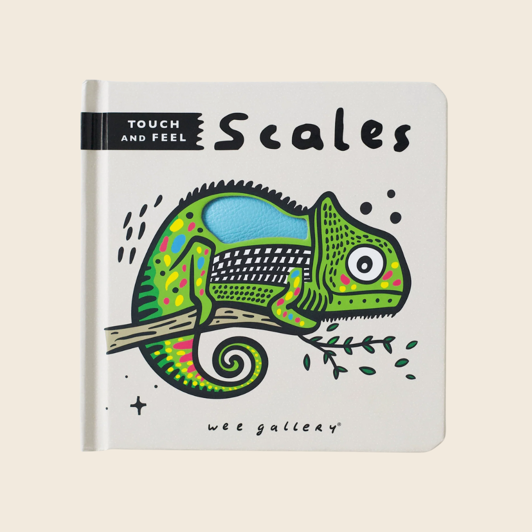 Touch and Feel Book | Scales