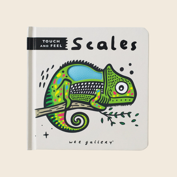 Touch and Feel Book | Scales