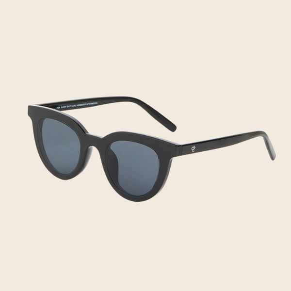 Langholmen Recycled Plastic Sunglasses | Black